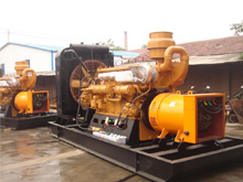 晋州发电机组的频率规格是如何确定的？